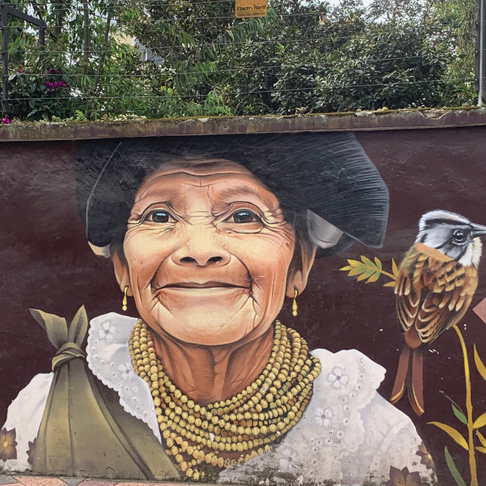 Ecuador street art depicting a smiling indigenous woman.