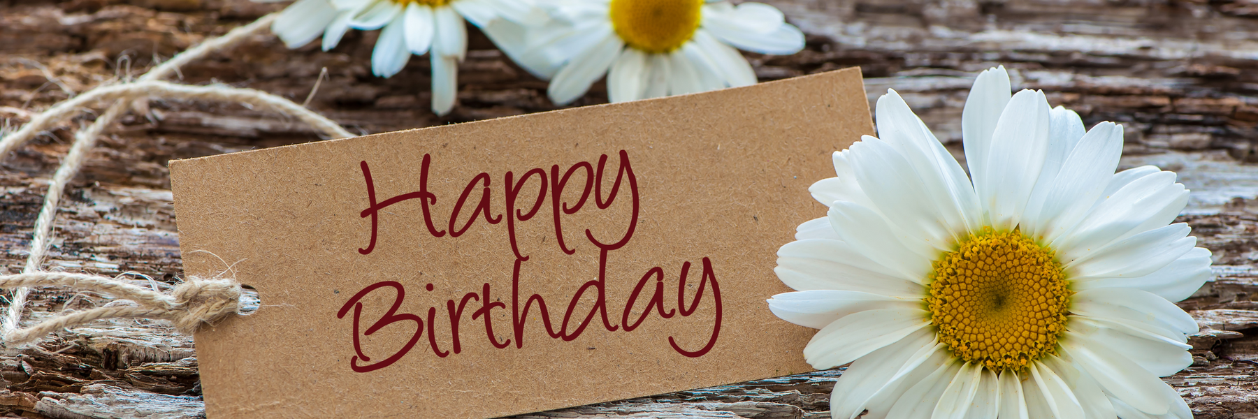 A little birthday magic just for you!