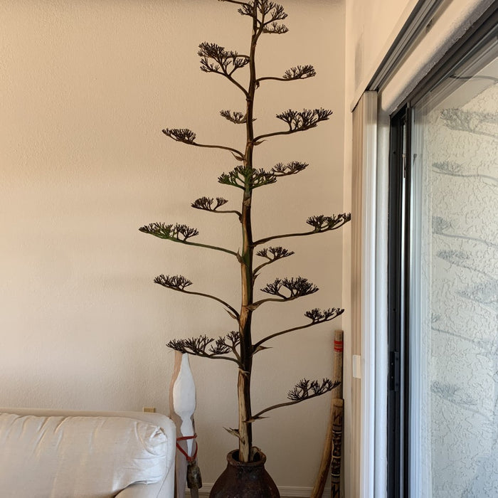 The Perfect SW Alternative Christmas Tree
