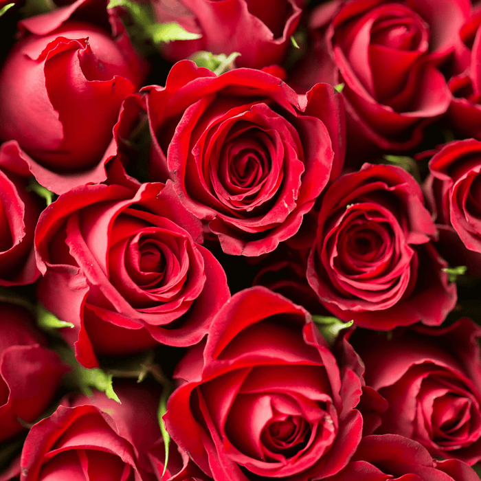 Our 12 Heartfelt Mother's Day Messages for Every Amazing Mama