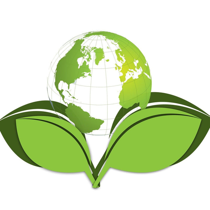 Our Commitment To Sustainability