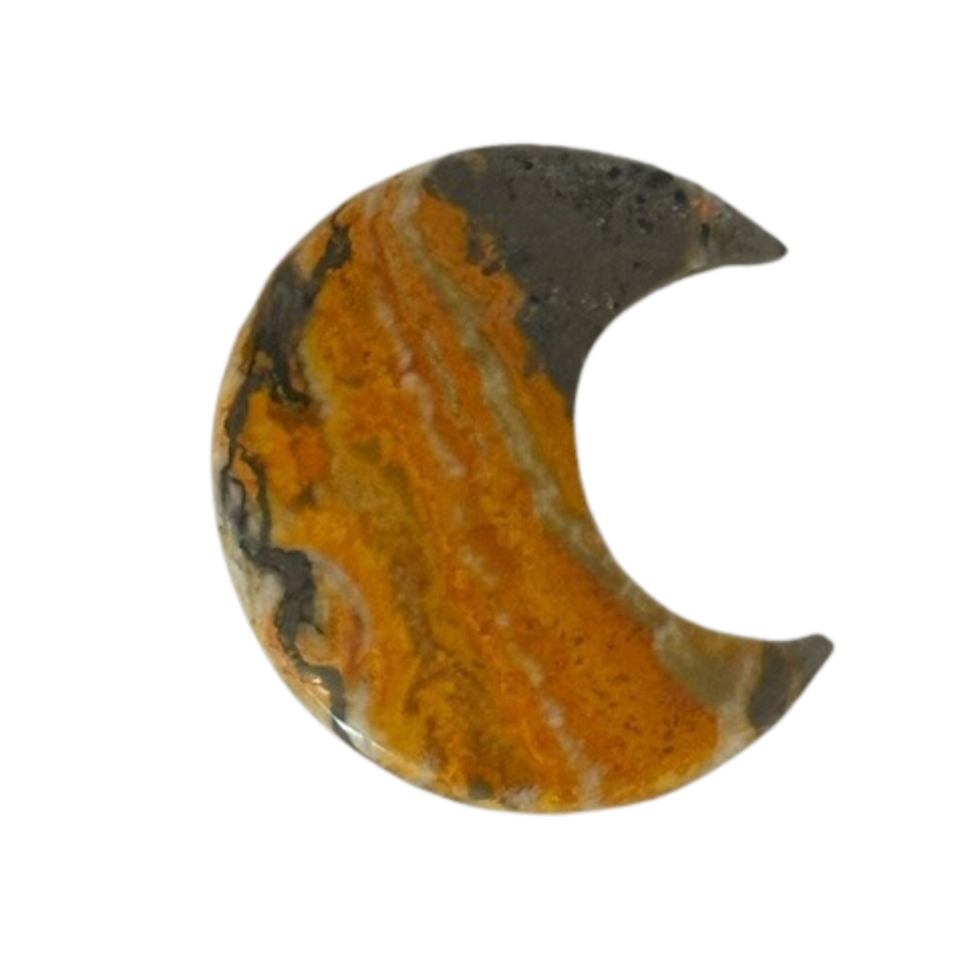 Bumble Bee Jasper: Mineral & Gem