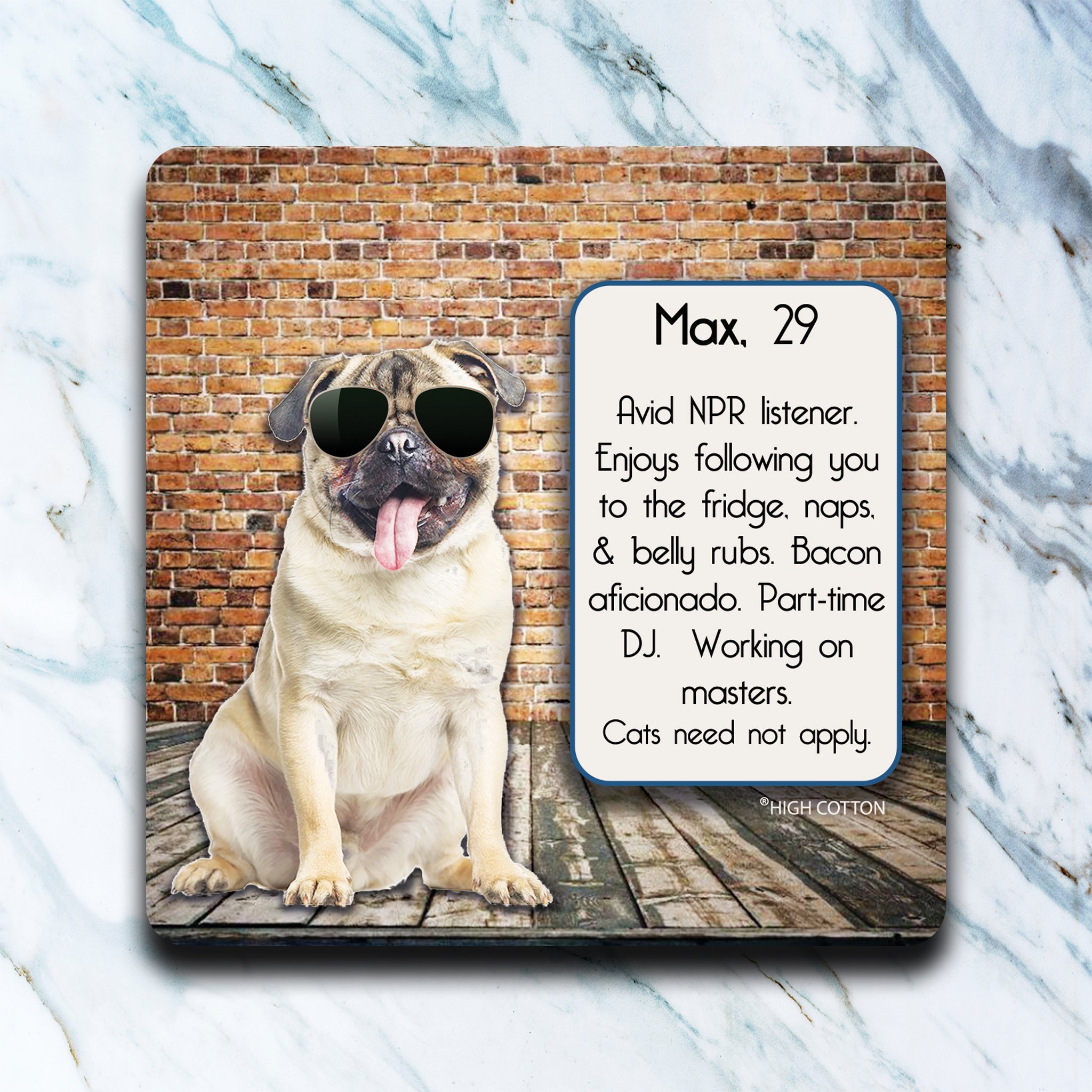 Coaster: Cozy Sips and Saucy Quips