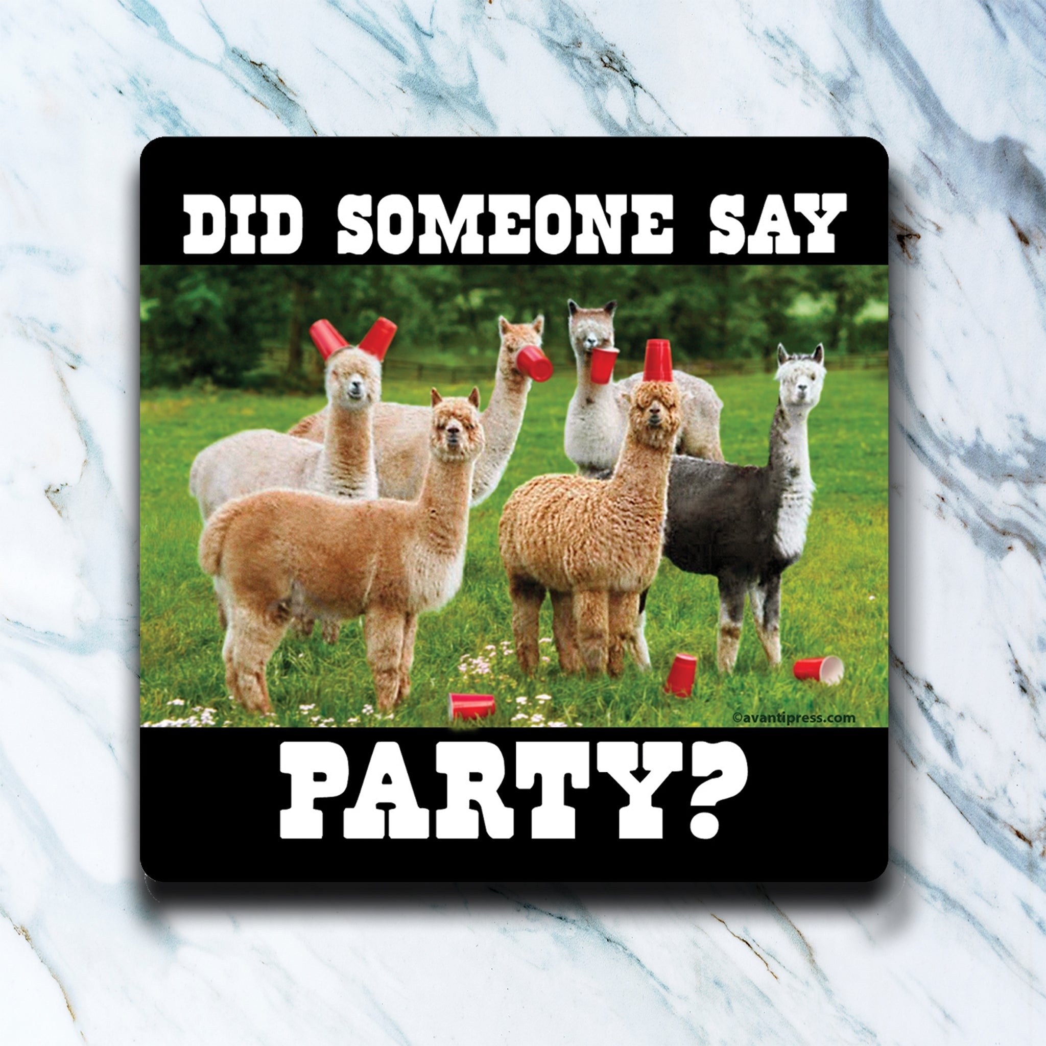 Coaster: Cozy Sips and Saucy Quips