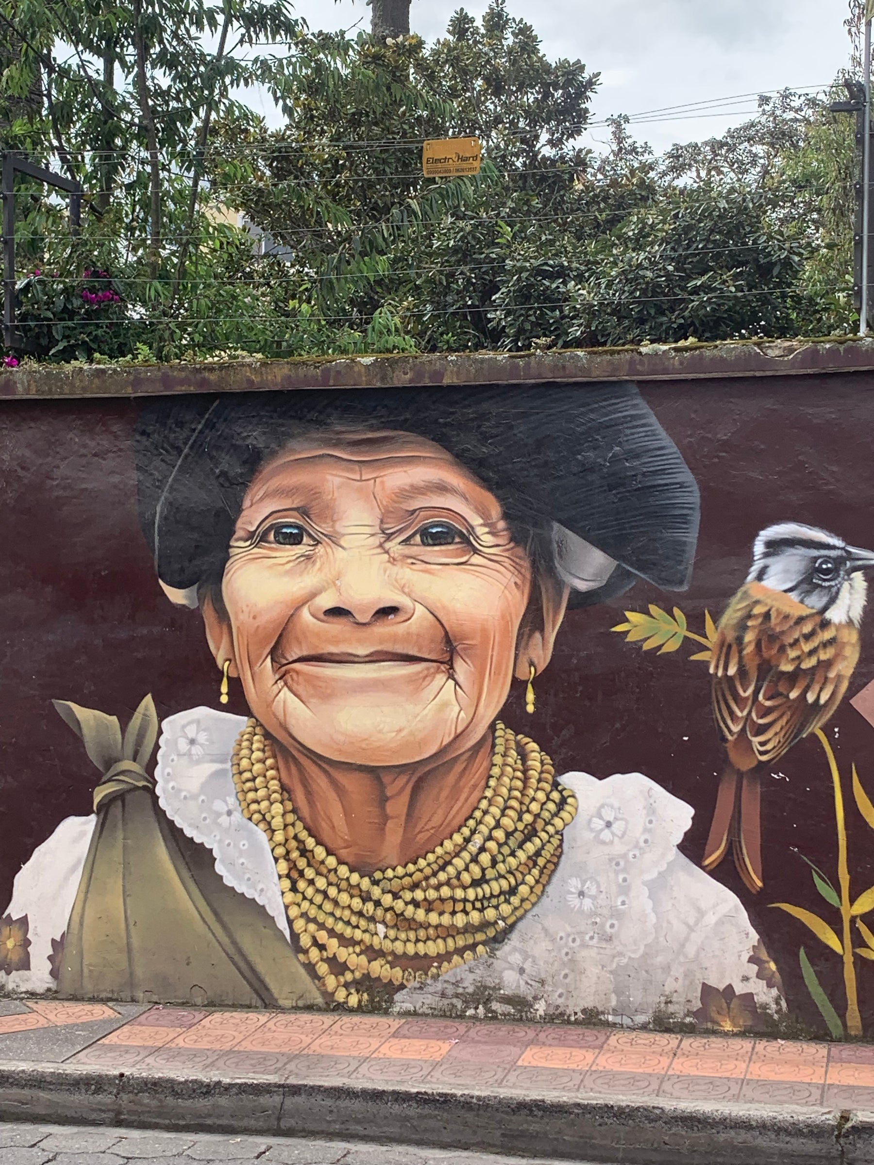 Ecuador street art depicting a smiling indigenous woman.