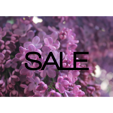 Sale announcement of Just Lilac